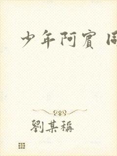 少年阿宾 同人封面