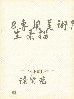 8专用美术开纸生素描