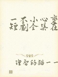 一不小心变成你短剧全集在线观看