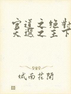 官道之绝对权力天选之主下载txt免费