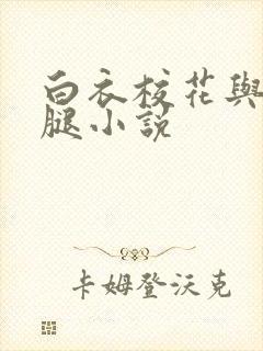 白衣校花与大长腿小说封面