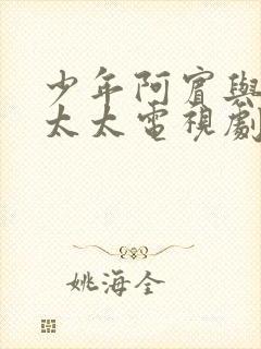 少年阿宾与房东太太电视剧播放