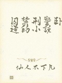 囚禁刑警卧底改造的小说