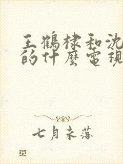 王鹤棣和沈月演的什么电视剧封面