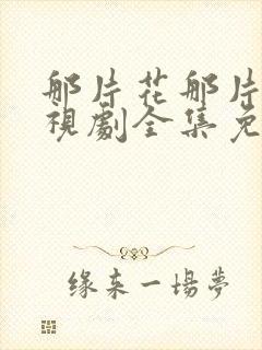 那片花那片海电视剧全集免费