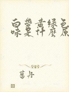 白带黄绿色有腥味是什么原因