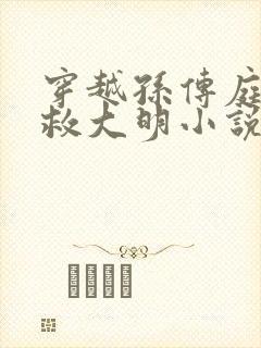 穿越孙传庭残部救大明小说