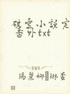 破云小说完整版 番外txt