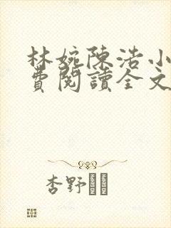 林婉陈浩小说免费阅读全文最新章节