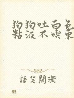 狗狗吐白色泡沫粘液不吃东西怎么办