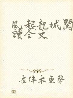 风起龙城阅读阅读全文
