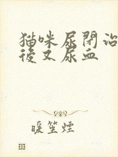 猫咪尿闭治疗之后又尿血封面