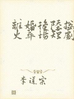 离婚后陆总追妻火葬场短剧免费观看