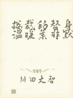 总裁的替身前妻温暖叶非默