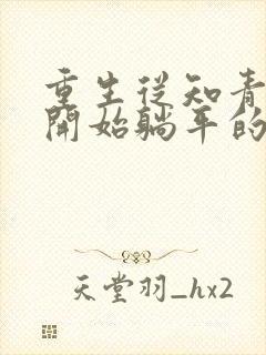 重生从知青下乡开始躺平的小说
