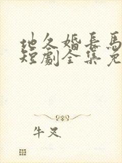 地久婚长马秋元短剧全集免费观看