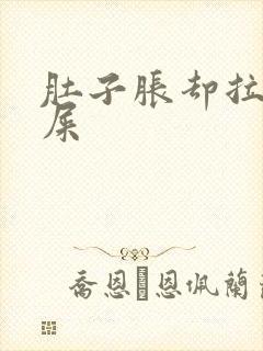 肚子胀却拉不出屎