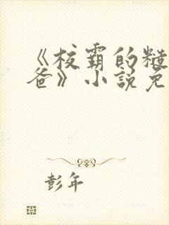 《校霸的糙汉爸爸》小说免费阅读