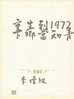 重生到1972下乡当知青的小说