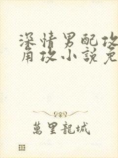 深情男配攻了主角攻小说免费阅读