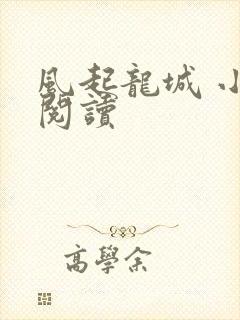 风起龙城 小说阅读