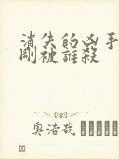 消失的凶手段志刚被谁杀