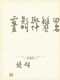 雷影与雏田的漫画叫什么名字