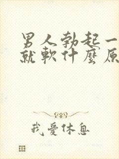 男人勃起一会儿就软什么原因