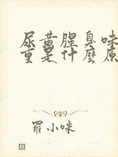 尿黄腥臭味特别重是什么原因