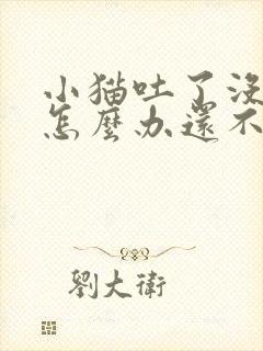 小猫吐了没精神怎么办还不吃东西封面