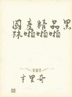 国产精品黑色丝袜啪啪啪