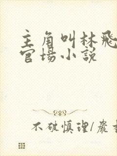 主角叫林飞杨的官场小说