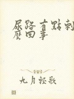 尿路有点刺痛怎么回事