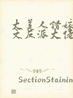 大美人错嫁年代文反派大佬by刺棠