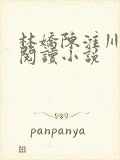 林娇陈淮川免费阅读小说