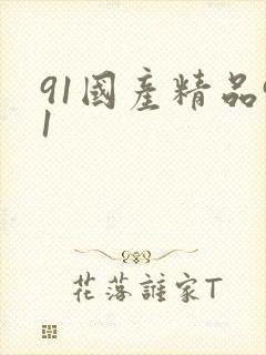 91国产精品91