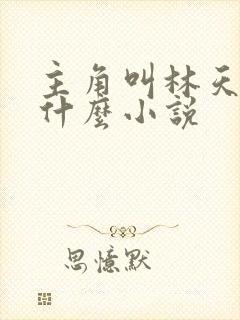 主角叫林天的叫什么小说