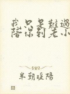 我只是难过不能陪你到老小说全文阅读