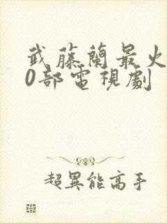 武藤兰最火的10部电视剧