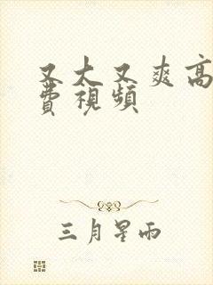 又大又爽高潮免费视频