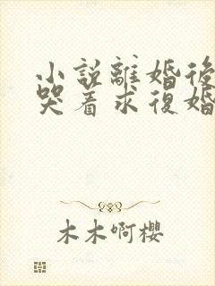 小说离婚后前夫哭着求复婚免费阅读