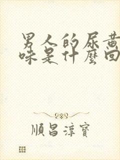 男人的尿黄 有味是什么回事