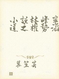 小说林峰宁欣官道之权势滔天