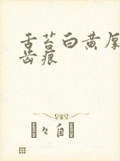 舌苔白黄厚腻有齿痕