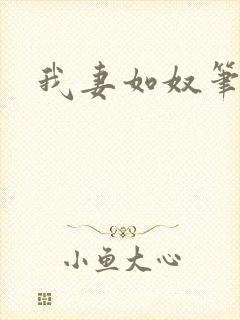 我妻如奴笔趣阁