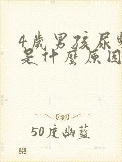 4岁男孩尿频繁是什么原因