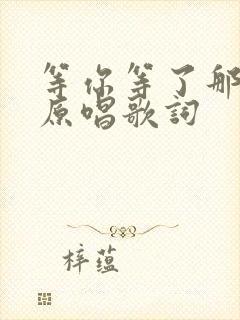 等你等了那么久原唱歌词封面