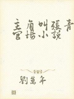 主角叫张青云的官场小说