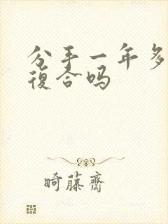 分手一年多还能复合吗封面