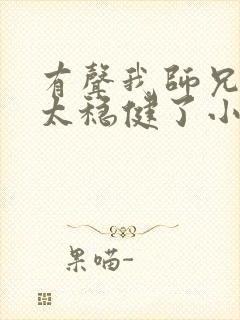 有声我师兄实在太稳健了小说